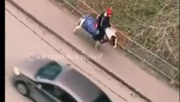 Видео поездки школьника на пони по улицам Казани растрогало жителей города