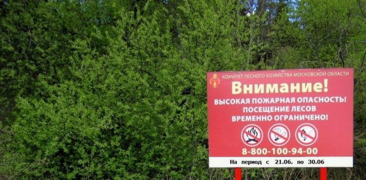 В Подмосковье введено временное ограничение пребывания граждан в лесах и въезд в леса машин