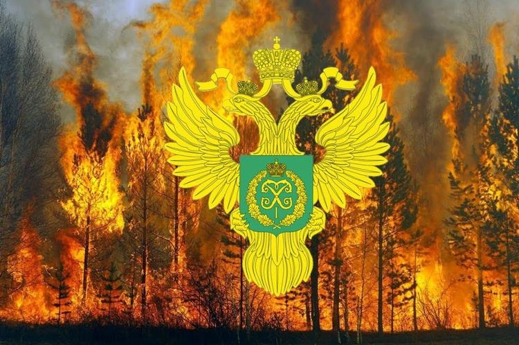 Кого отправить в лес?