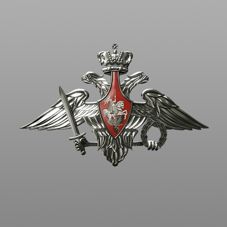Заявление Минобороны России