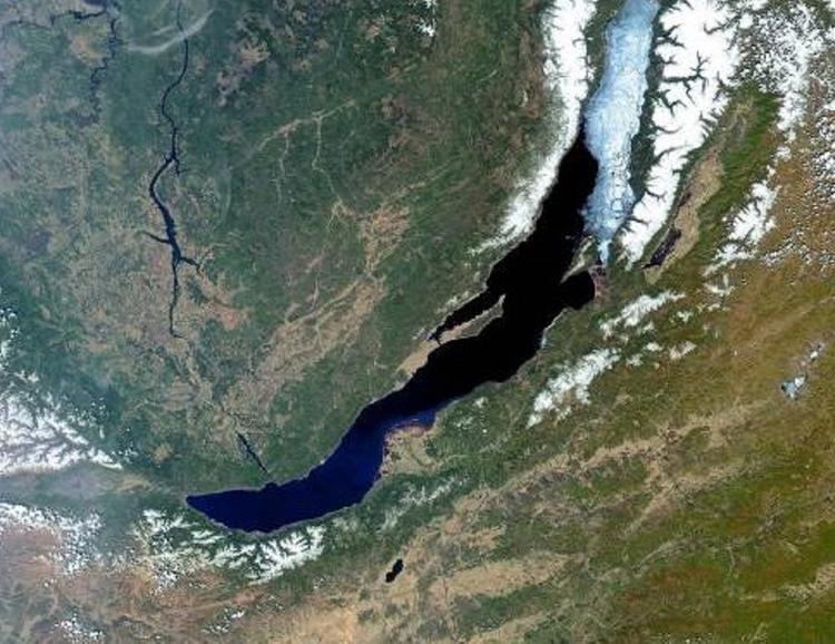 На берегу Байкала нашли останки ископаемой тропической птицы