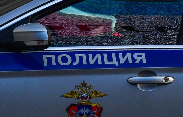 Знакомые рассказали о девушке, тело которой нашли в Домодедово
