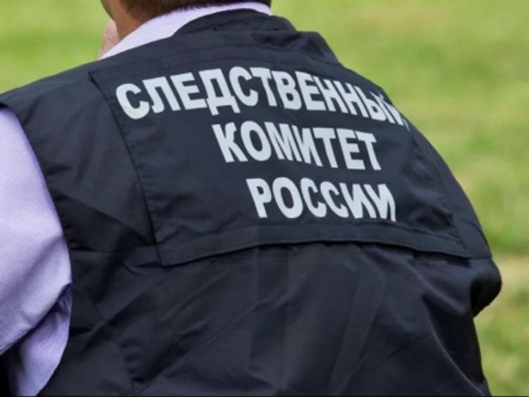 Дело возбуждено по факту убийства несовершеннолетней студентки в Домодедово