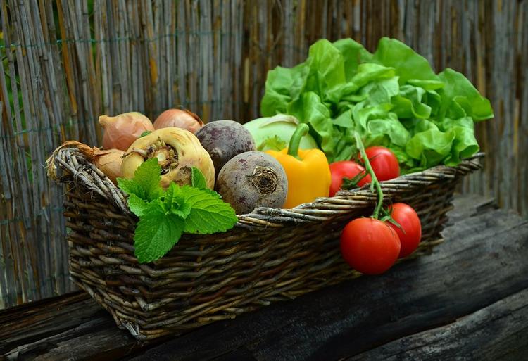 Какие продукты можно есть перед сном?