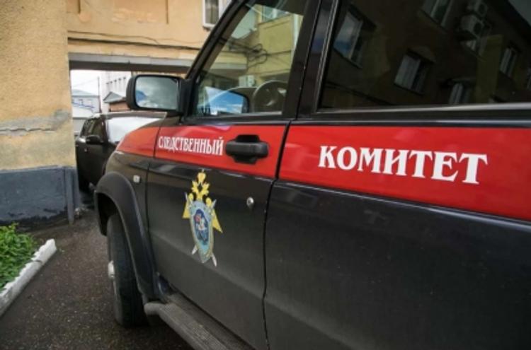Подмосковные следователи задержали подозреваемого в убийстве 17-летней девушки в Домодедово
