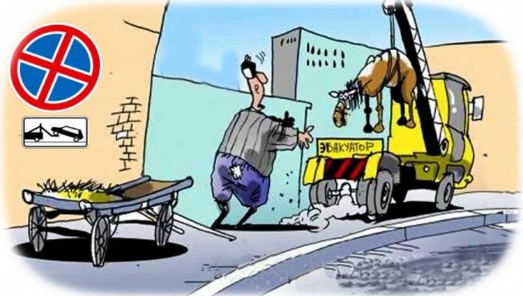 Подрались из-за телки. В Дагестане избили сторожа штрафстоянки для коров
