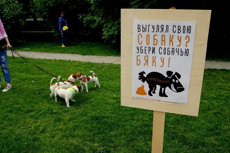 Собачник творит то, что никогда не сотворит друг собаки