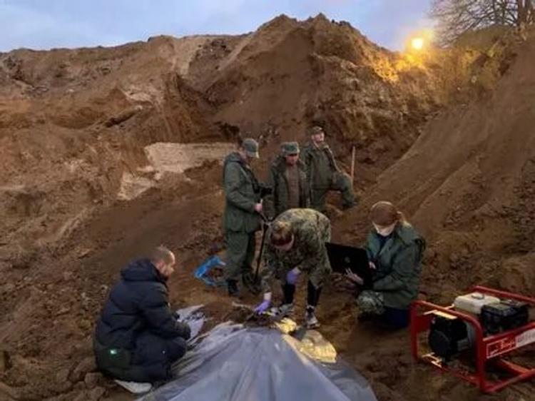 Рыли 12 дней, перелопатили 2 тысячи кв. метров. В Подмосковье нашли тела директора Племзавода и троих членов ее семьи