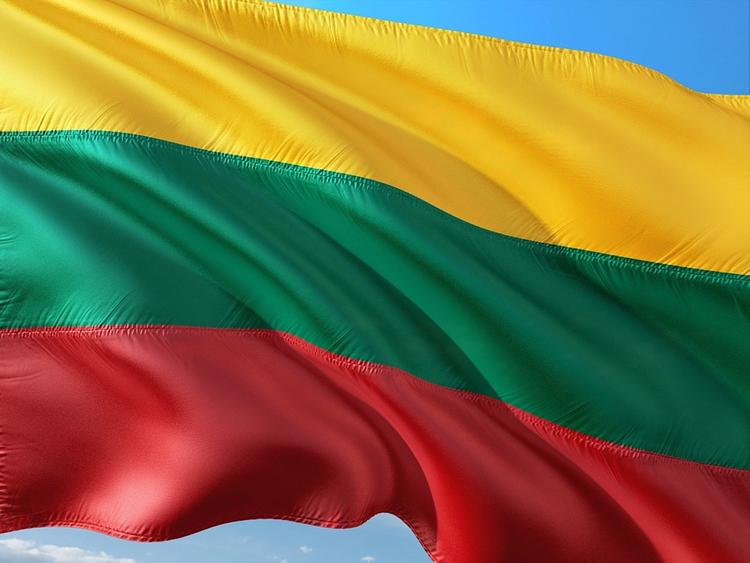 Президент Литвы объяснил Лукашенко, с какой целью НАТО размещает свои силы на Балтике