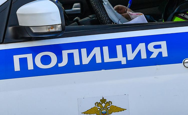 Тело женщины со множественными ножевыми ранениями нашли в московском парке