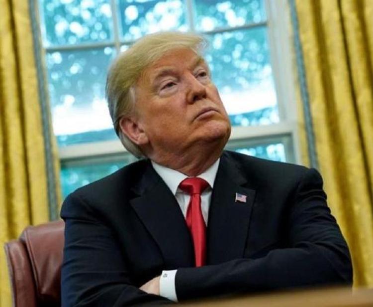 Трамп наградил собаку, принимавшую участие в операции по ликвидации лидера ИГ