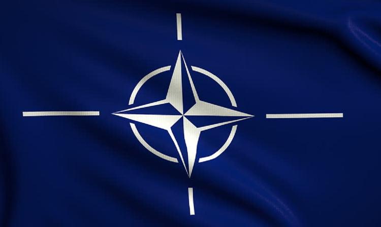 В Балтике при подготовке к учениям НАТО погибли 18 морских свиней