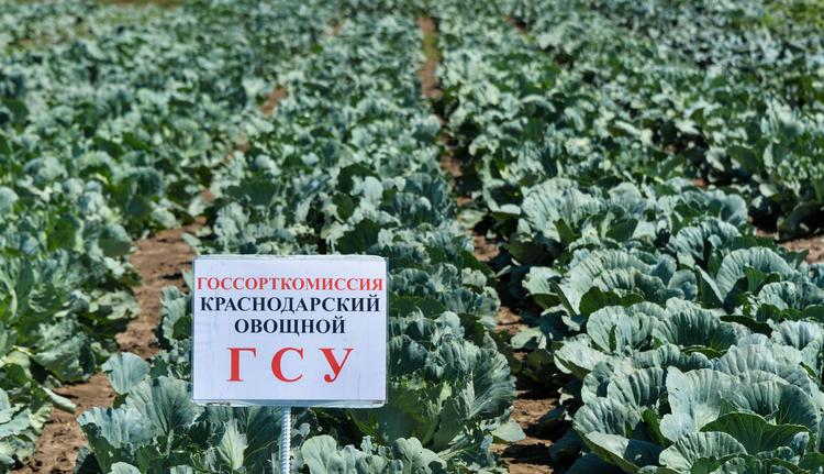 Наука ушла в поля