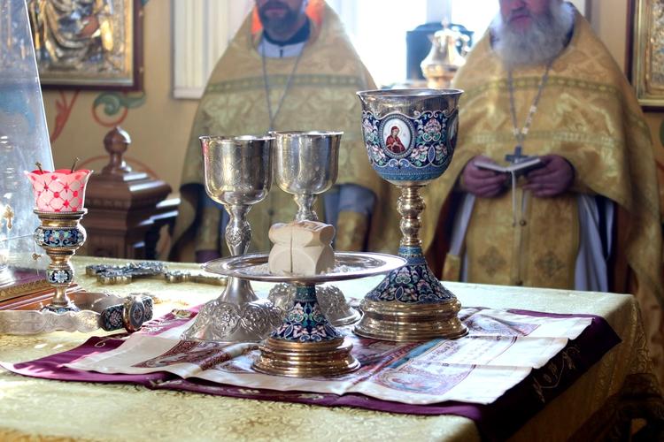 Девочку с большим родимым пятном, которую отказался крестить священник в Кургане, крестили
