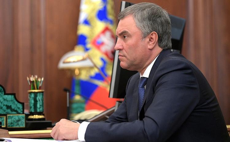 Володин оказал поддержку расширению эксперимента по самозанятым