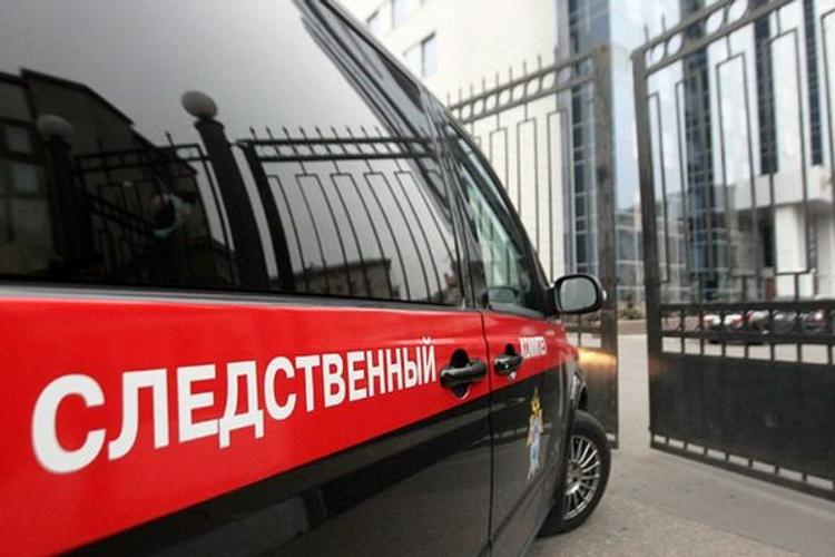 СК: возбуждено уголовное дело после стрельбы на улице в Перми, погибла женщина