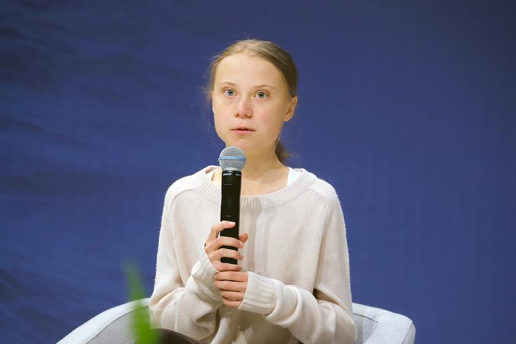 В Совфеде назвали