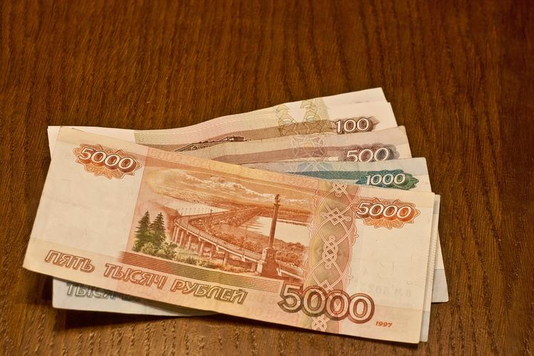 В Совфеде согласились с желанием россиян больше зарабатывать