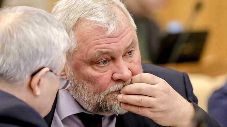 Депутат объяснил, зачем нижегородским чиновникам вазелин: