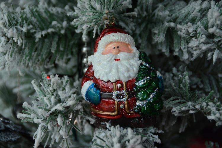 В Кремль доставили главную новогоднюю елку страны 