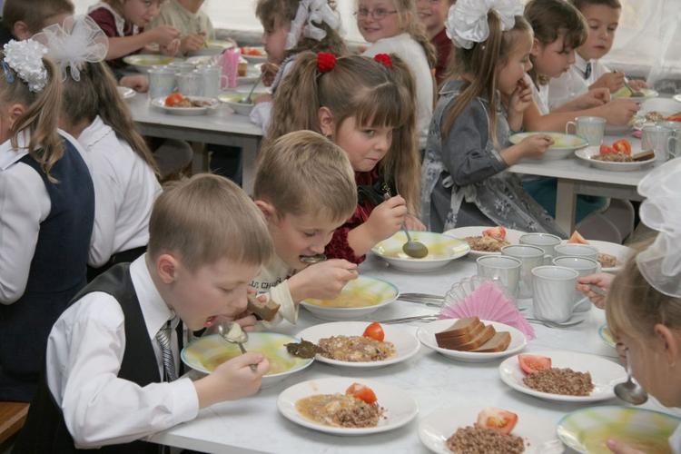 В Тольятти в детские сады и школы поставляли мясо животных, зараженных трупным ядом