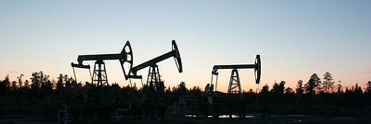 Лукашенко поручил в ближайшие дни начать альтернативные поставки нефти