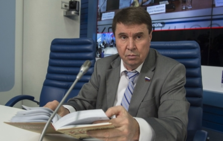 В Совфеде считают, что Украина вынудила Россию искать альтернативные способы транзита газа