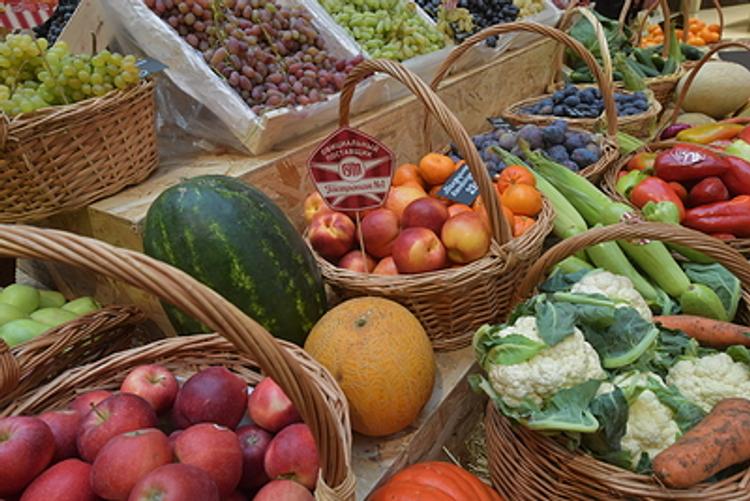 Специалисты по питанию оценили разные диеты