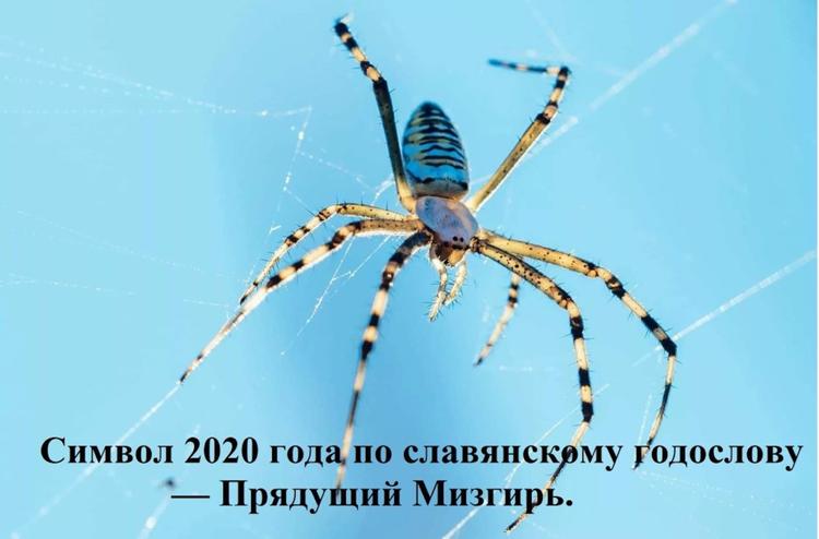 Здравствуй Старый Новый 7528 год!
