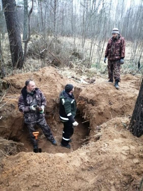 Захоронение нескольких убитых нацистами детей обнаружили под Псковом