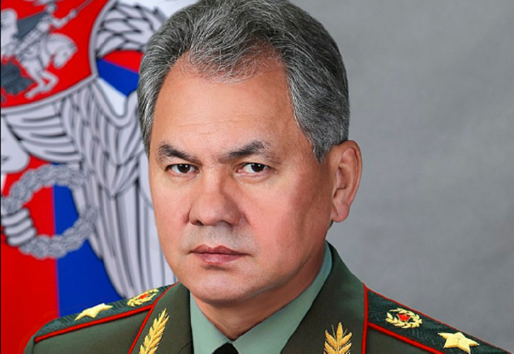 Эксперт объяснил, почему за Лавровым и Шойгу сохранили должности