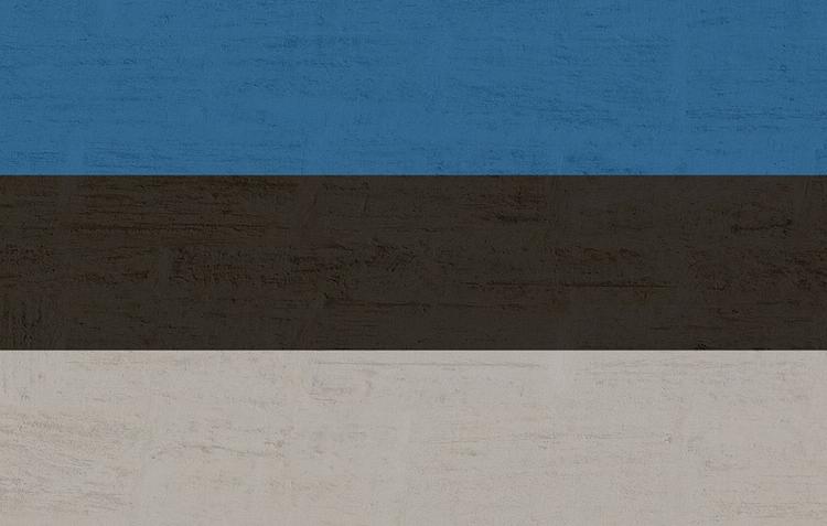 В ГД прокомментировали обвинения спикера парламента Эстонии в адрес России