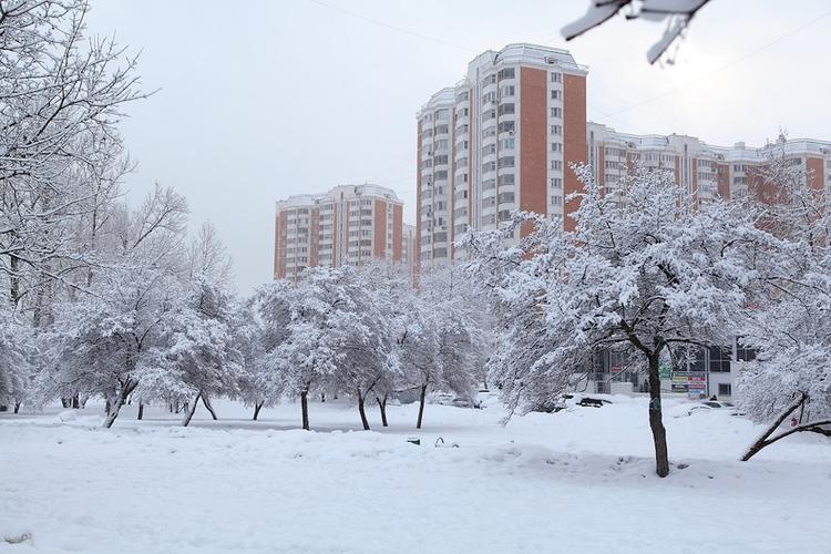 Аномально низкое атмосферное давление зафиксировали сегодня в Москве