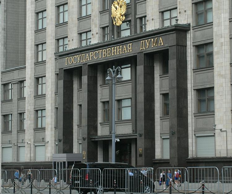 В ГД предложили закрепить в Конституции РФ запрет на аборты и