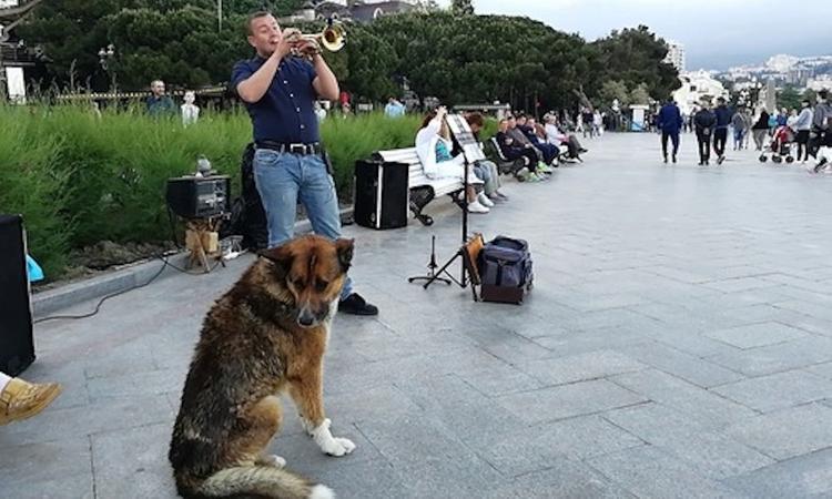 Казаки наведут порядок на пляжах Ялты в разгар курортного сезона