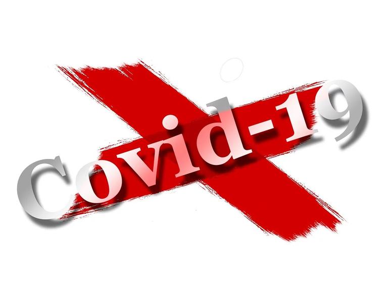 В Подмосковье от COVID-19 всего вылечили 17 человек