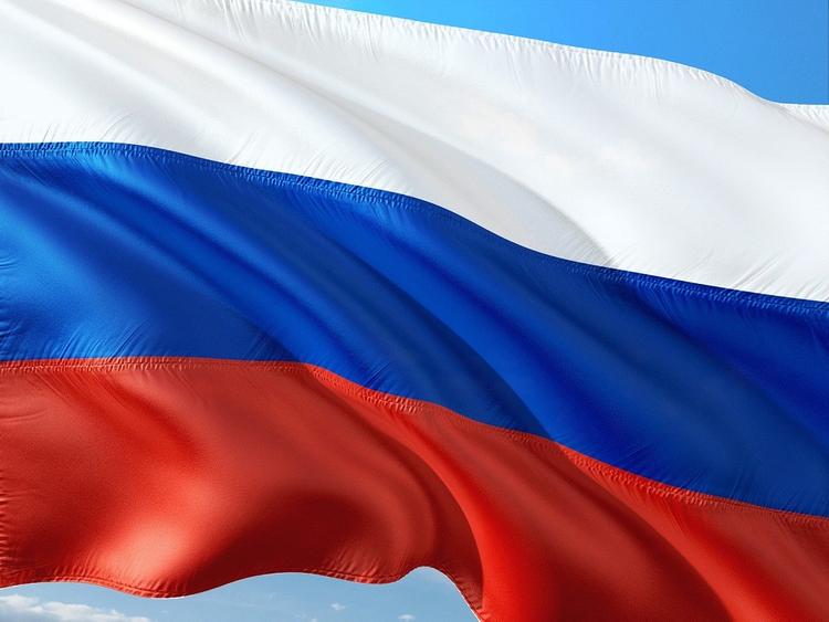 Политолог назвал причину «болезненной реакции» западных стран на российскую помощь США и Италии