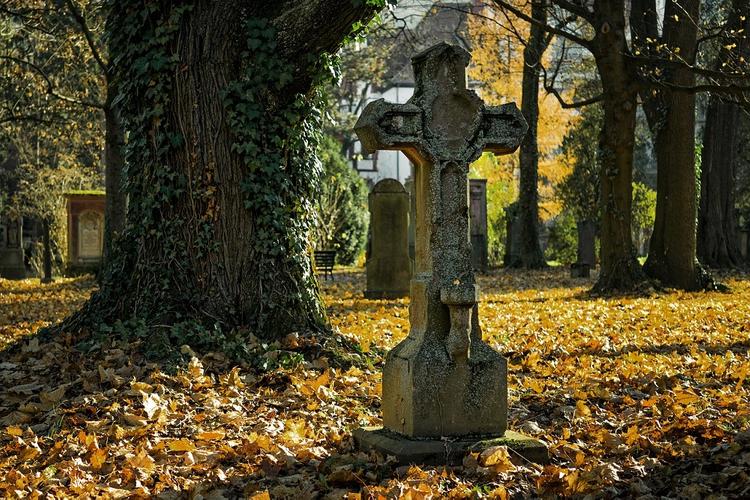 В Нью-Йорке людей начнут хоронить в парках
