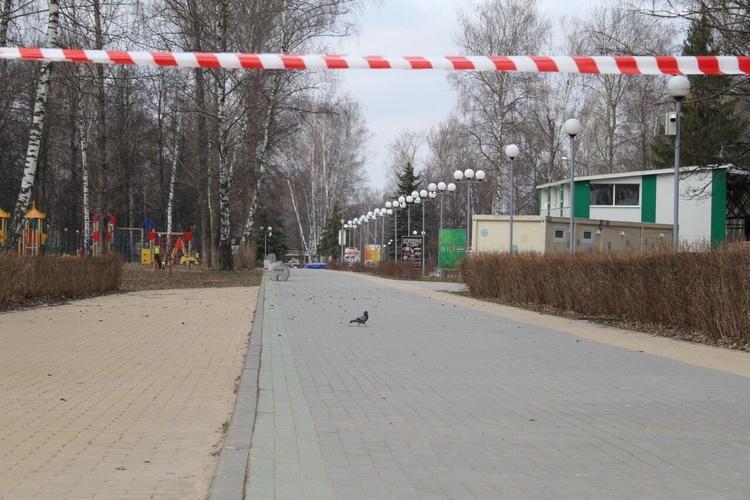 Воробьёв сообщил: в Подмосковье еще у 80 человек подозрение на коронавирус