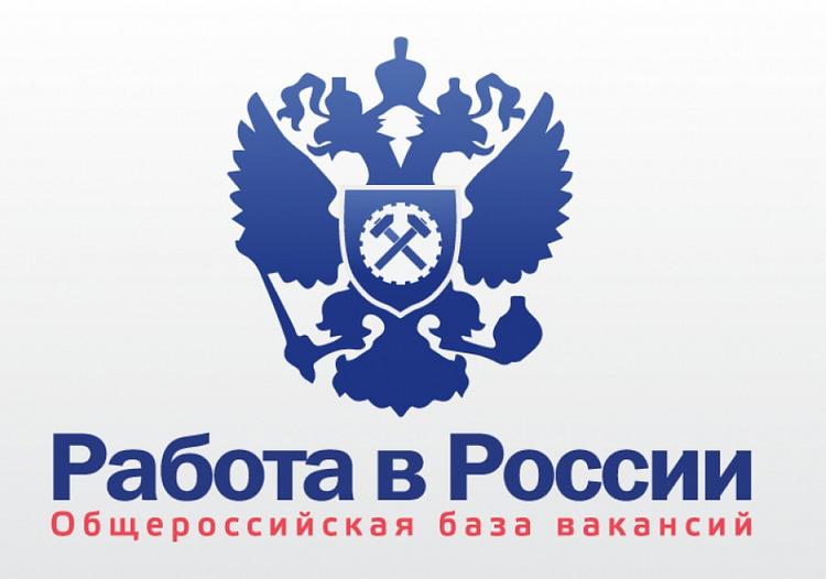 Подать заявление на выплату по безработице можно дистанционно