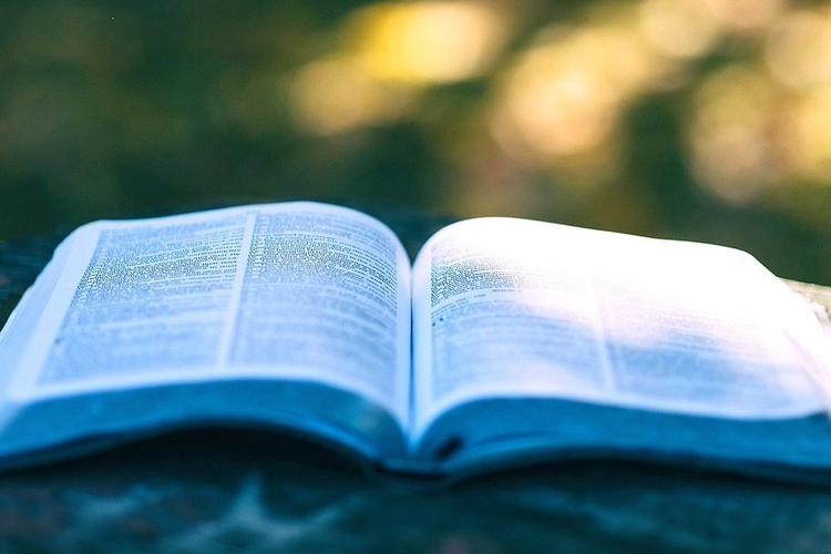 Торговлю книгами могут отнести к социальному предпринимательству