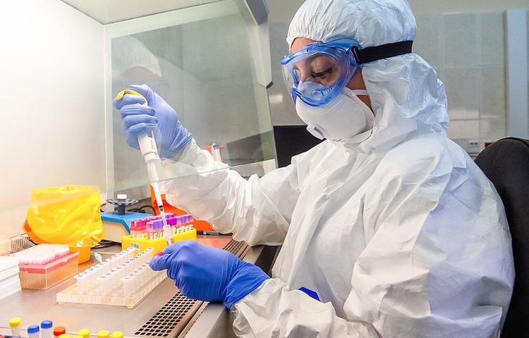 Иммунитет к COVID-19 нашли у 12% обследованных на антитела москвичей