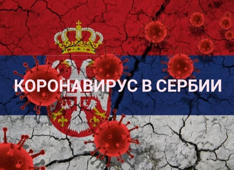 Эпидемия в Сербии: помощь России и открытие границ