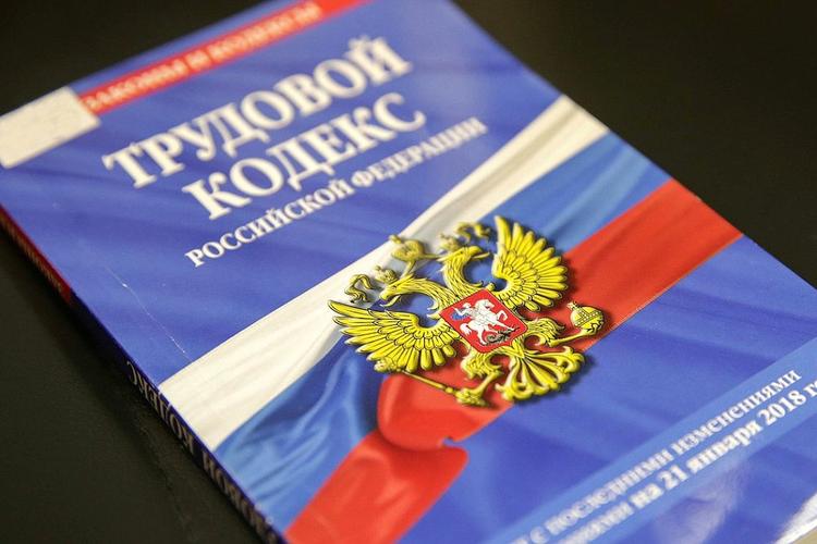 В Трудовом кодексе планируют регламентировать продолжительность рабочего дня сотрудников на «удаленке»