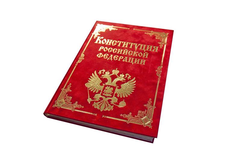 Как будет происходить голосование по Конституции