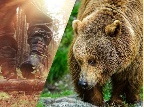 Высокопоставленные охотники поделили почти 6 млн гектаров лесного фонда России