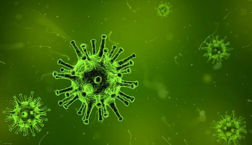 В Оксфорде усомнились в китайском происхождении COVID-19