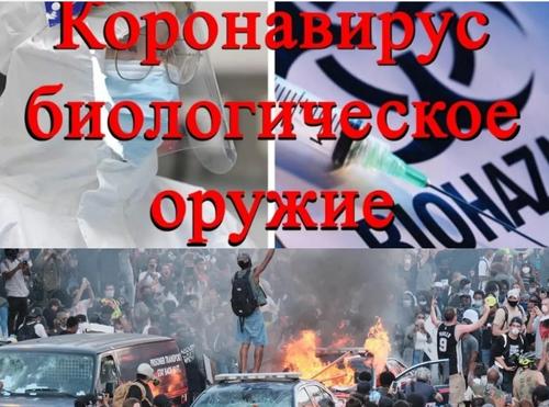 Бедствия продолжаются. Коронавирус и бунты