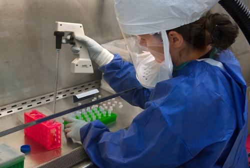 У переболевших коронавирусом заметили длительные сбои иммунитета