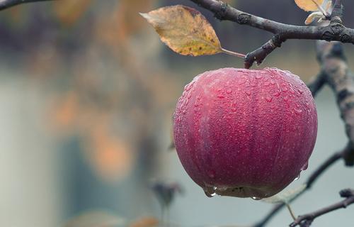 Стали известны продукты, помогающие спастись от укачивания в транспорте